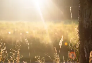Reading could be about to smash 170-year weather record as ‘unprecedented’ dry spell continues