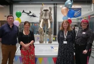 Cole Museum celebrates 175th birthday of jumbo resident